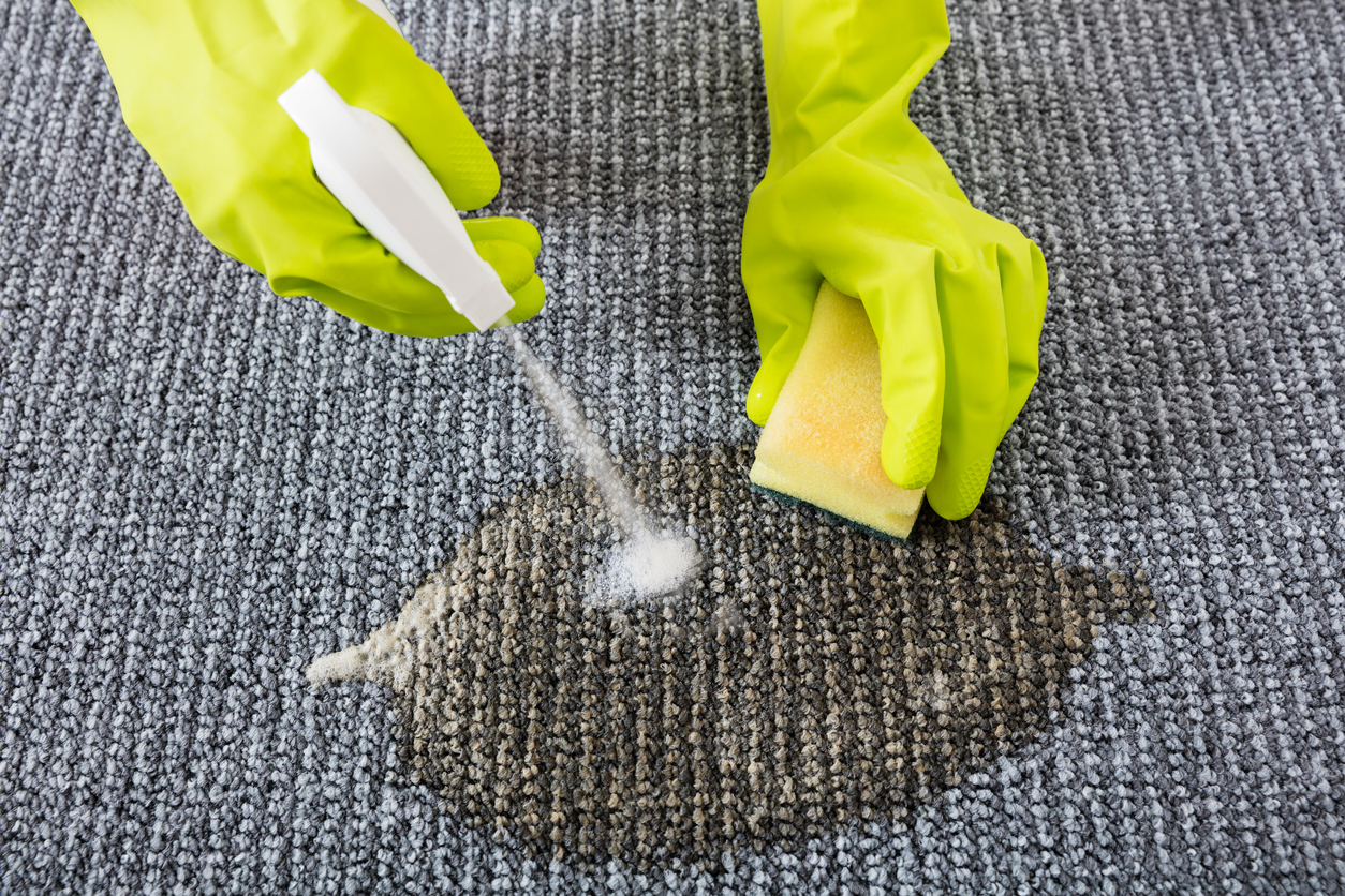 Como remover manchas de tapetes com produtos caseiros